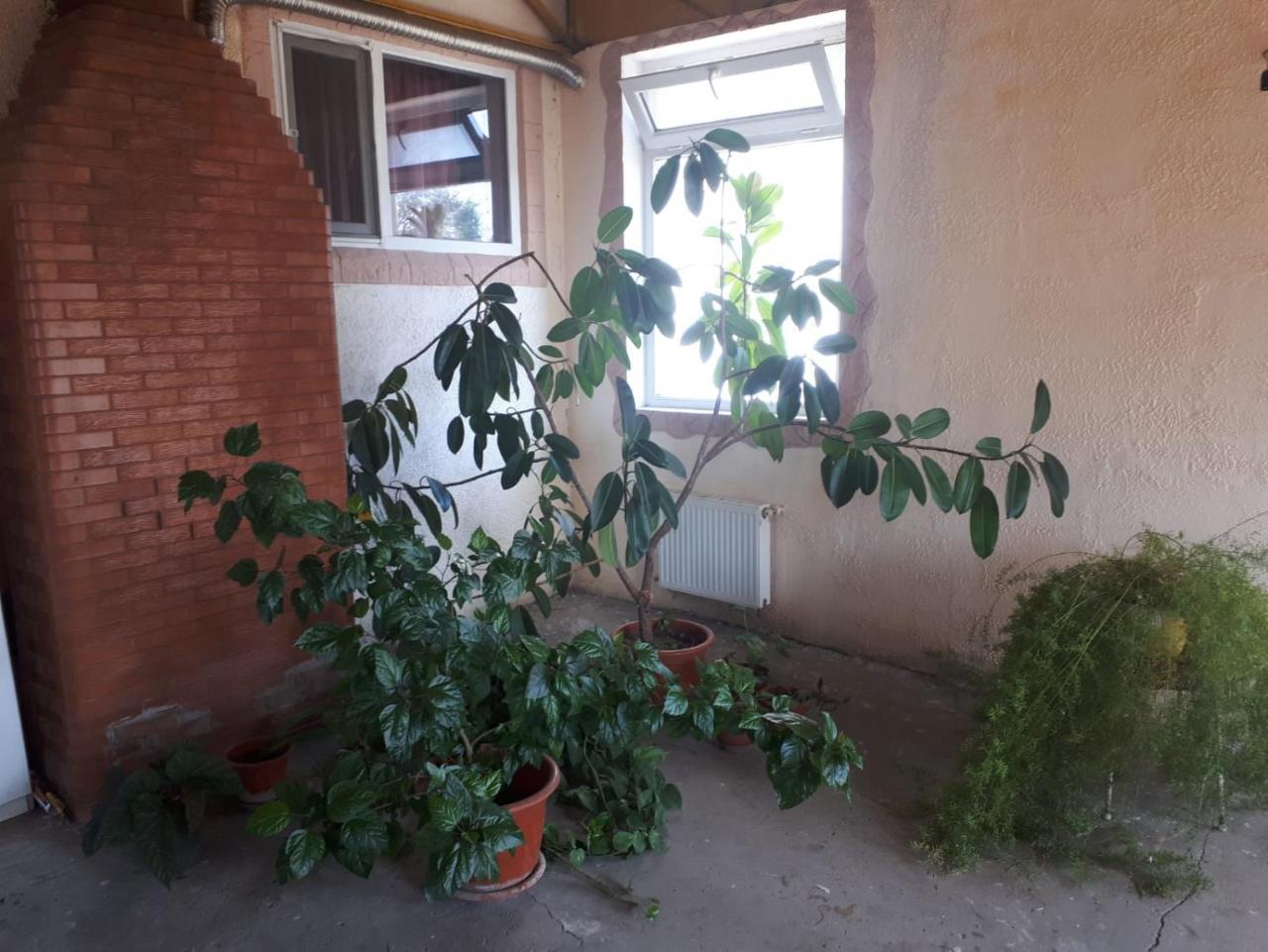 La Vitalie Guest House Chisinau Luaran gambar